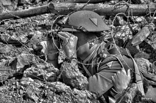 A.Passchendaele themaw. (19)